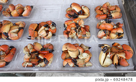 Menu seafood cooked in the restaurant Menu seafood cooked in the restaurant 69248478