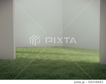Empty space for product show in white room with grass on ground. 69248665