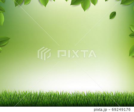 Nature Blur Background Nature Background With Leaves And Grass 69249176