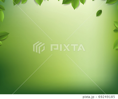 Nature Blur Background Nature Background With Leaves 69249185