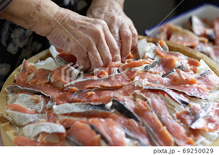 鮭の飯寿司作り 69250029