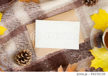Fall leaves autumn background Fall leaves autumn background 69250130
