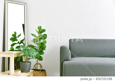 Living room interior design, Home decor with modern fabric sofa and green houseplants Living room interior design, Home decor with modern fabric sofa and green houseplants 69250198