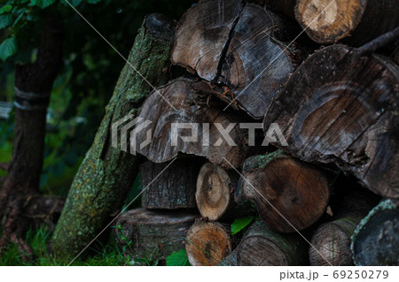 Lots of wood and logs in the backyard of a house 69250279