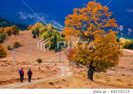 people trekking in beautiful autumn scenery people trekking in beautiful autumn scenery 69250524