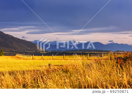 New Zealand hills 69250871