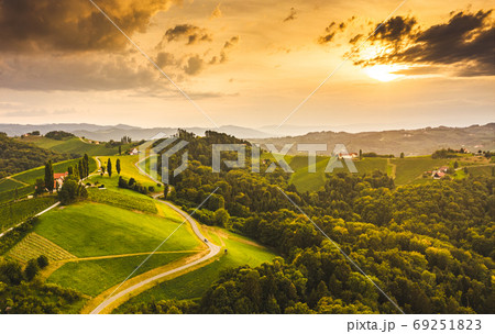 South styria vineyards aerial landscape. Grape hills view from wine road in summer. Tourist destination, travel spot. South styria vineyards aerial landscape. Grape hills view from wine road in summer. Tourist destination, travel spot. 69251823