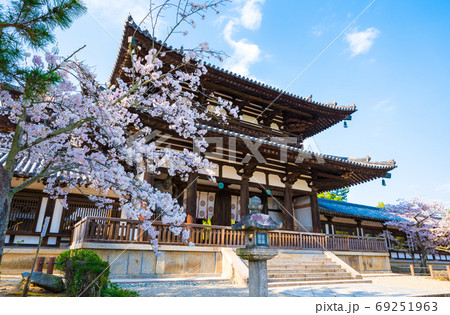 法隆寺 春の境内風景 桜と中門 （奈良県生駒郡斑鳩町） 2020年4月 69251963