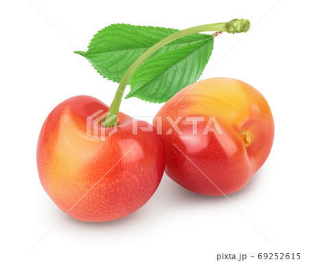 yellow-red sweet cherry isolated on white background with clipping path and full depth of field 69252615