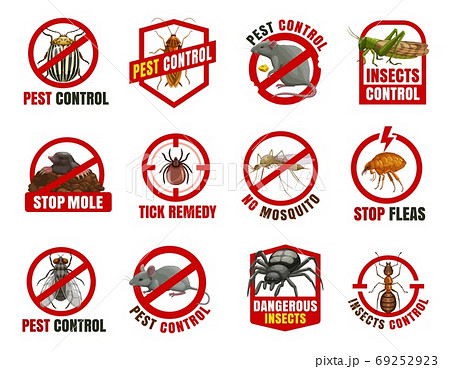 Pest control isolated icons, cartoon vector signs 69252923