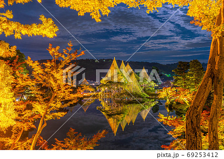 秋の兼六園 雪吊のライトアップ 石川県 の写真素材