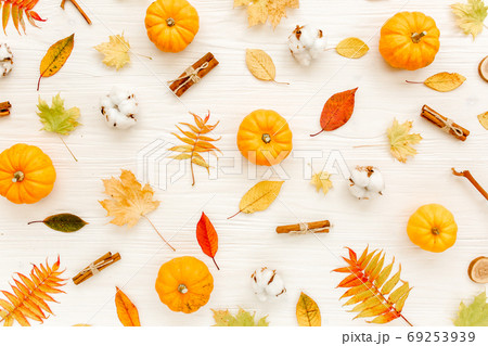 Pattern made of dry autumn leaves, Pumpkins and cotton. Fall flat lay. Top view. Autumn minimal concept 69253939