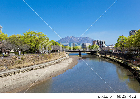 甲突川から見る桜島  69254422