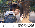 木を愛でる 69254896
