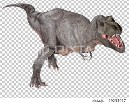ティラノサウルス レックス 白亜紀後期の北アメリカ大陸に生息した大型肉食恐竜のイラスト素材