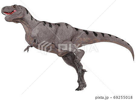 ティラノサウルス・レックス　白亜紀後期の北アメリカ大陸に生息した大型肉食恐竜 69255018