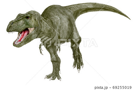 Tyrannosaurus Rex Large Carnivorous Dinosaur Stock Illustration