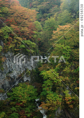 紅葉の梵字川渓谷 69256530