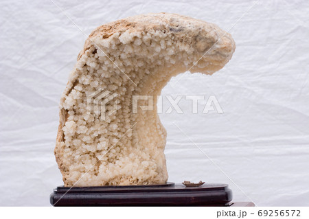 the art of stone dyisplay at flower show the art of stone dyisplay at flower show 69256572