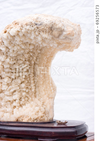 the art of stone dyisplay at flower show the art of stone dyisplay at flower show 69256573