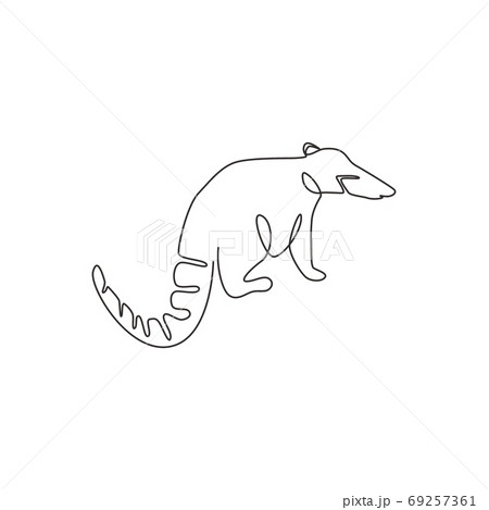 Single one line drawing of beautiful coati for company logo identity Single one line drawing of beautiful coati for company logo identity 69257361