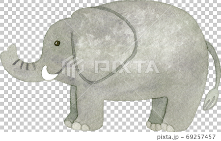 ゾウのイラスト素材 ゾウのイラスト素材
