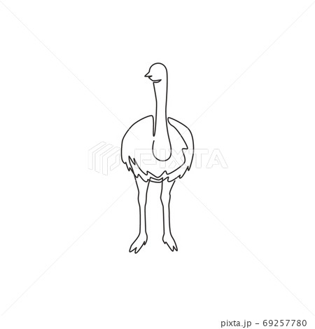 Single continuous line drawing of large ostrich for logo identity Single continuous line drawing of large ostrich for logo identity 69257780