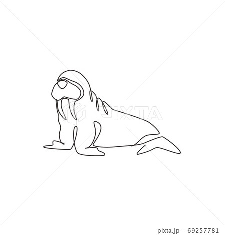Single continuous line drawing of big cute walrus for logo identity. 69257781