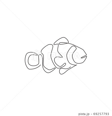 One single line drawing of cute clown fish for aquarium tank logo identity One single line drawing of cute clown fish for aquarium tank logo identity 69257793