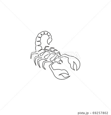 One continuous line drawing of danger scorpion for company logo identity One continuous line drawing of danger scorpion for company logo identity 69257802