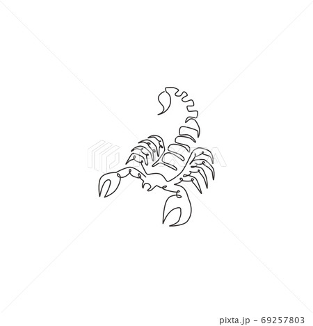 Single continuous line drawing of deadly scorpion for company logo identity Single continuous line drawing of deadly scorpion for company logo identity 69257803