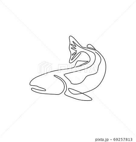 One single line drawing of big salmon for logo identity 69257813