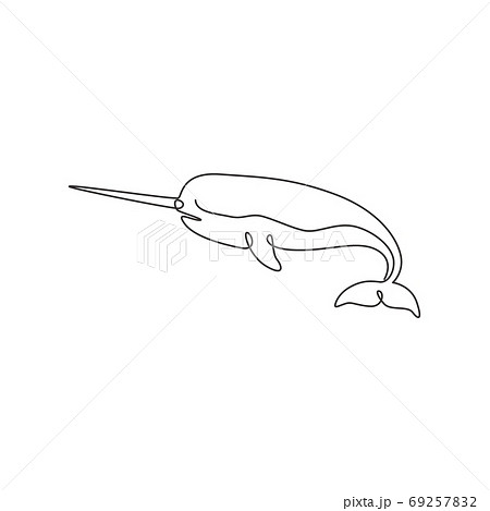 Single continuous line drawing of adorable narwhal for logo identity. Single continuous line drawing of adorable narwhal for logo identity. 69257832