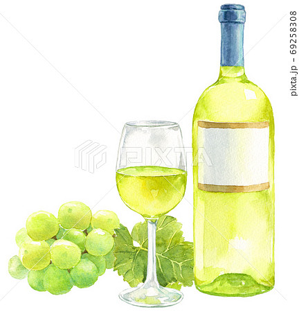 水彩白ワイン ボトルとグラスとぶどうのイラスト素材
