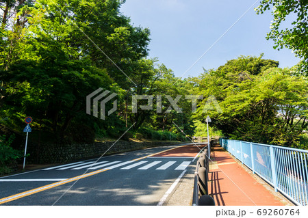 聖蹟桜ヶ丘 木々の木洩れ日の中、いろは坂通りを登る 聖蹟桜ヶ丘 木々の木洩れ日の中、いろは坂通りを登る 69260764