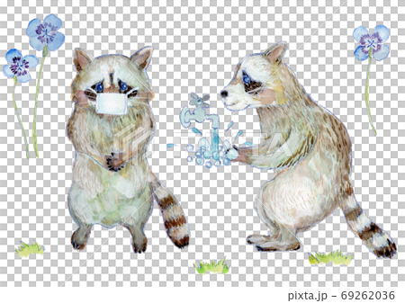 Watercolor illustration of a raccoon washing hands and a raccoon masking 69262036