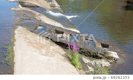 Salmon ladder in a river Salmon ladder in a river 69262355