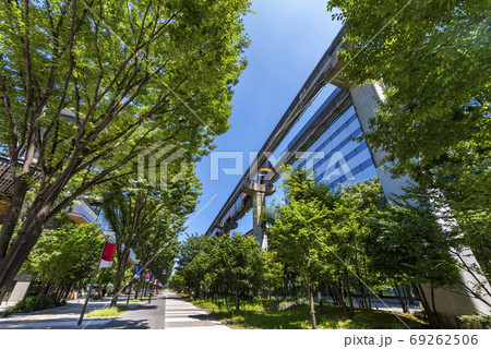 立川駅北口 サンサンロードの並木道 立川駅北口 サンサンロードの並木道 69262506