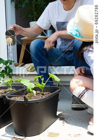 ベランダ(庭)でプランター植物を育てる親子 ベランダ(庭)でプランター植物を育てる親子 69262786