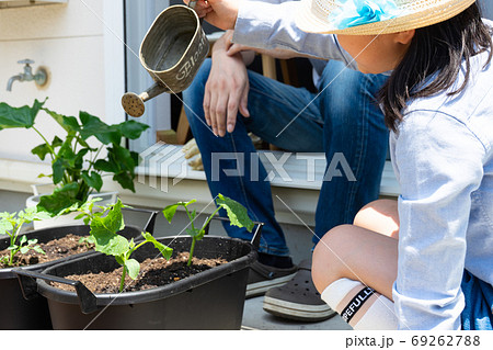 ベランダ(庭)でプランター植物を育てる親子 ベランダ(庭)でプランター植物を育てる親子 69262788