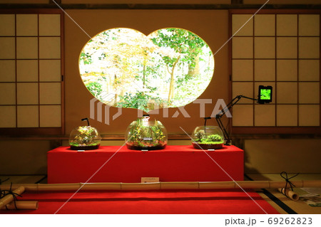 京都　竹の寺　地蔵院 69262823