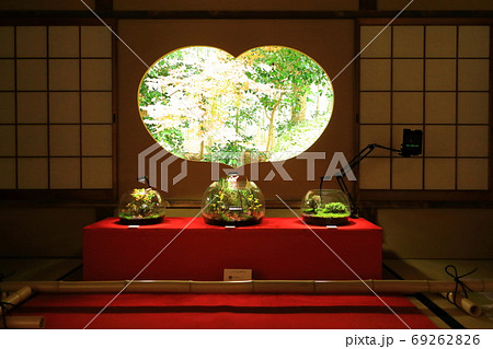 京都　竹の寺　地蔵院 69262826