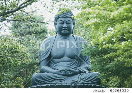 大仏 69263039