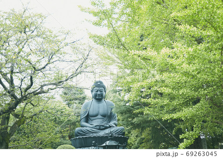 大仏 69263045