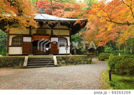 京都竹の寺 地蔵院 地蔵堂と紅葉 京都竹の寺 地蔵院 地蔵堂と紅葉 69263209