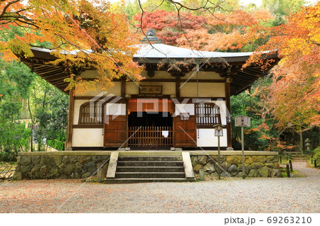 京都竹の寺　地蔵院　地蔵堂と紅葉 69263210