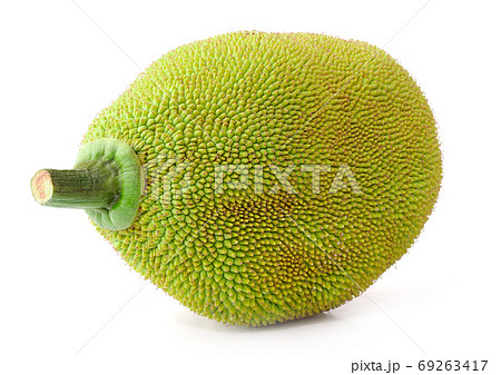 Jackfruit an isolated on white background 69263417
