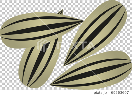 縞模様のシンプルなひまわりの種のイラストのイラスト素材