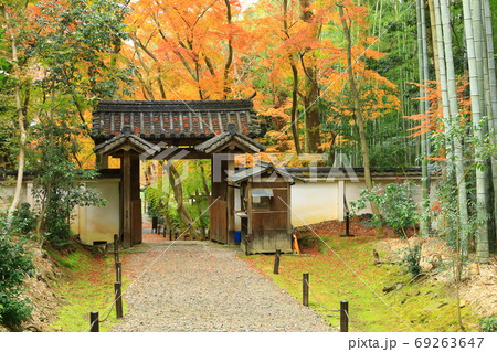 京都竹の寺　地蔵院　紅葉と竹林 69263647