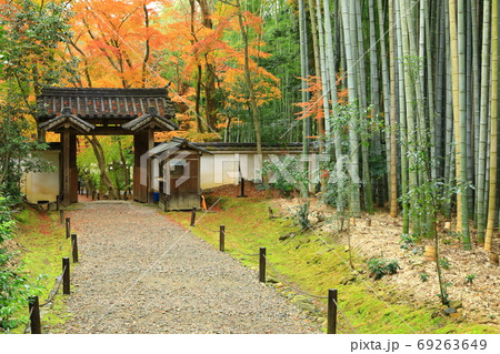京都竹の寺　地蔵院　紅葉と竹林 69263649